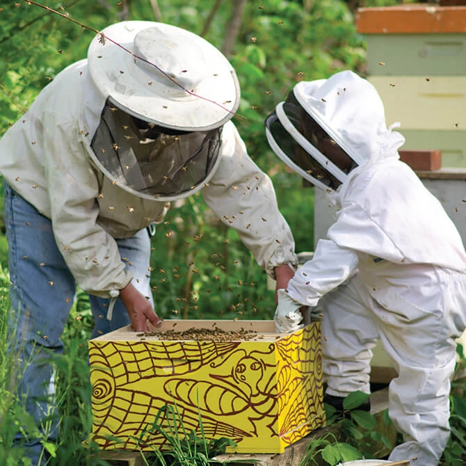 In-Person Core Bee Course