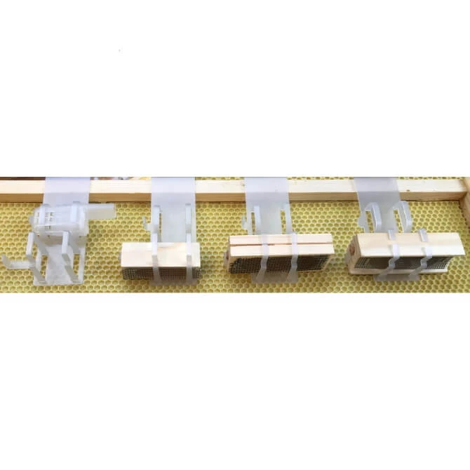 Queen Cage Holder - Image 2