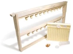 No Graft Queen Rearing Kit